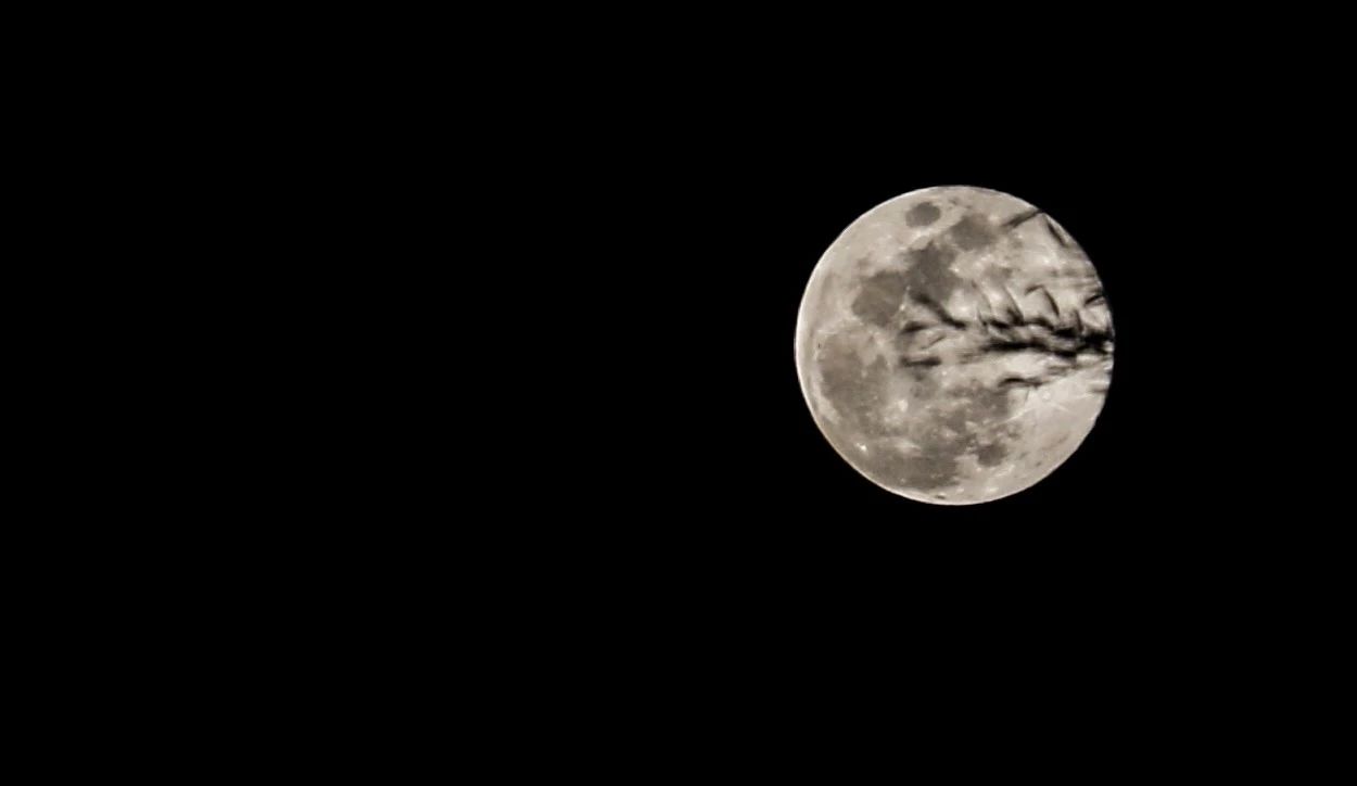 1522913224857817.jpg 微信图片_20180405152611.jpg