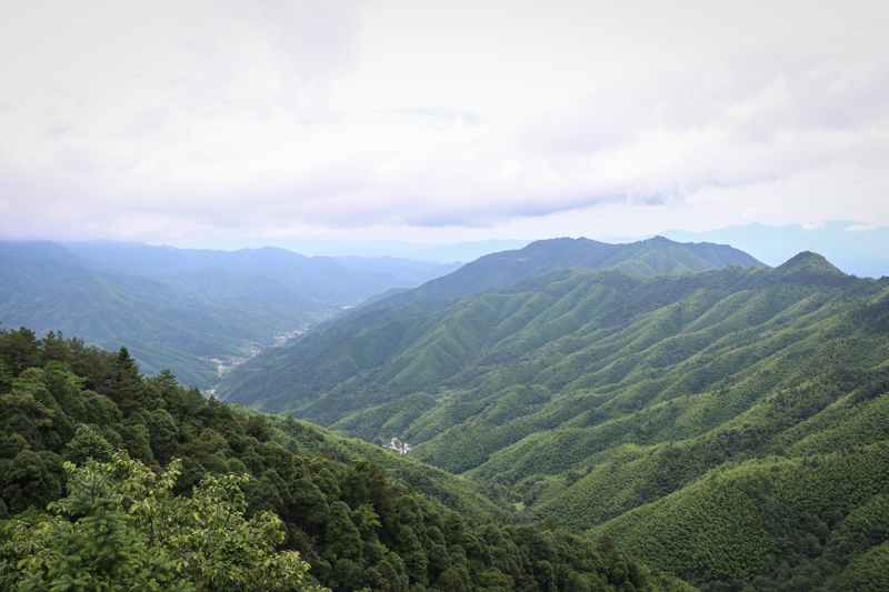 1530096410355215.jpg 6F0A4106.jpg