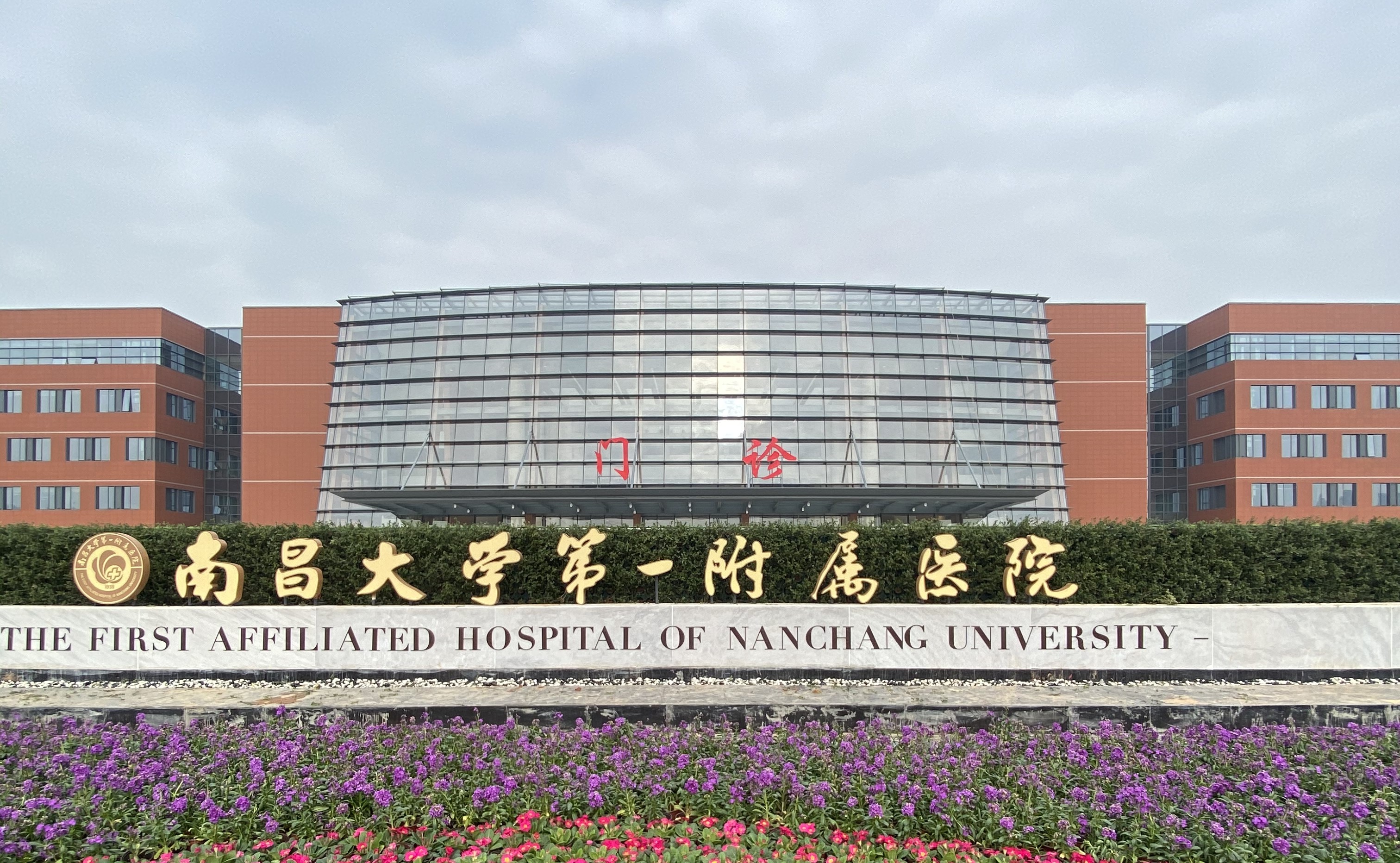 1584346035218026.jpg 1584346035218026.jpg